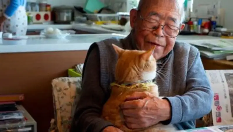 Котенок вернул радость жизни 94-летнему дедушке