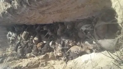 Zakon.kz, фото - Новости Zakon.kz от 10.07.2017 17:41