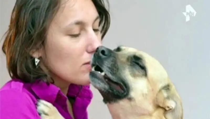 В Москве подозреваемая в краже собаки-поводыря объявила голодовку