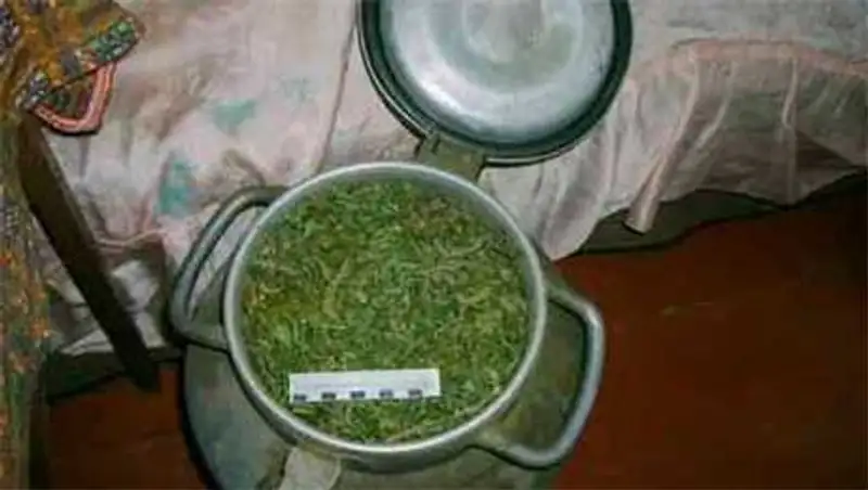 Полицейские во дворе дома жителя Костанайской области обнаружили крупную партию наркотиков