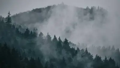 pexels.com, фото - Новости Zakon.kz от 07.10.2021 18:30