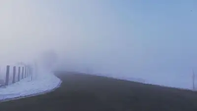 массовые ДТП, фото - Новости Zakon.kz от 30.03.2022 11:52