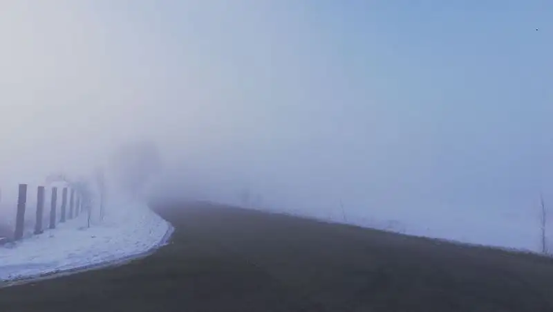 Два массовых ДТП с участием 24 авто произошло в Акмолинской области