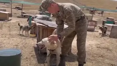 скриншот, фото - Новости Zakon.kz от 09.07.2021 20:53