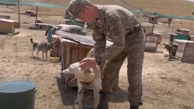 Десантники и байкеры помогли приюту для бездомных животных в Алматы