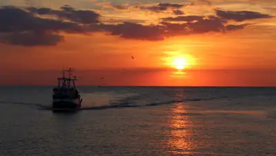 pxhere.com, фото - Новости Zakon.kz от 20.08.2019 16:08