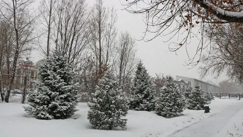 ДЧС обратился к алматинцам