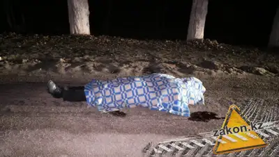 zakon.kz, фото - Новости Zakon.kz от 05.12.2019 01:28