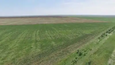 24.kz, фото - Новости Zakon.kz от 13.05.2021 12:14