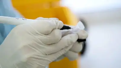 КВИ Казахстан 19 февраля, фото - Новости Zakon.kz от 19.02.2022 08:03