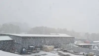 zakon.kz, фото - Новости Zakon.kz от 01.04.2021 18:00