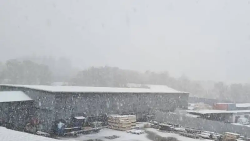 Алматы засыпает снегом