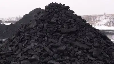 Zakon.kz, фото - Новости Zakon.kz от 01.02.2018 15:46