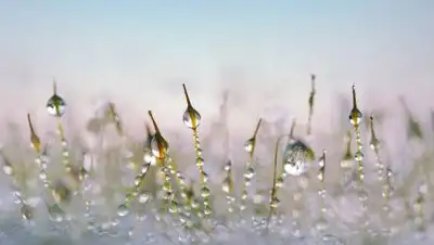 pixabay.com, фото - Новости Zakon.kz от 27.09.2021 22:40