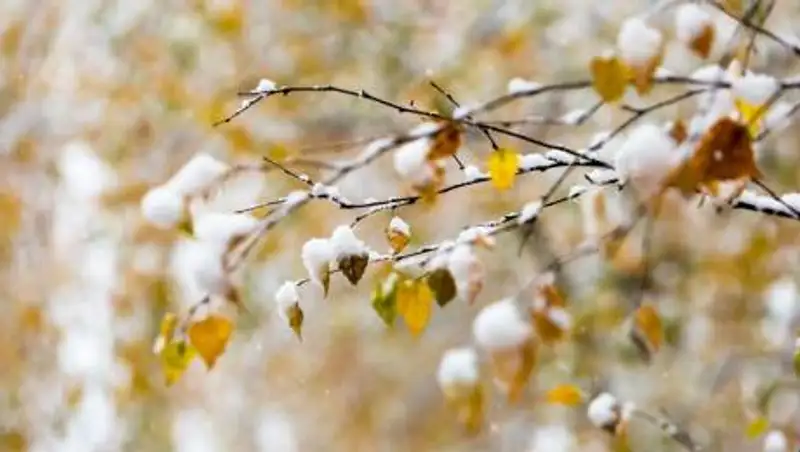 Прогноз погоды по территории Казахстана на 24 октября