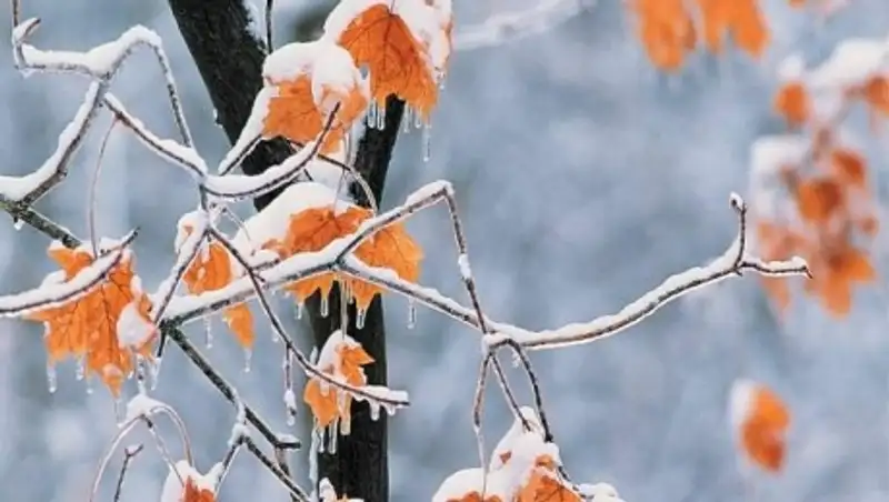 Лишь на юго-востоке страны сегодня будет без осадков