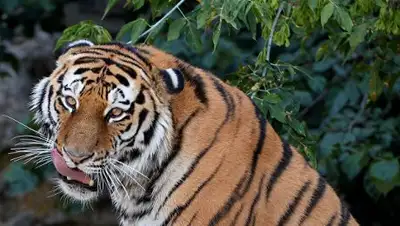 Zakon.kz, фото - Новости Zakon.kz от 24.11.2017 17:26