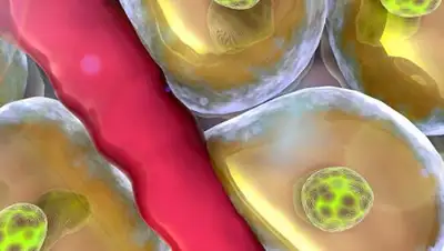 © Depositphotos / Ugreen, фото - Новости Zakon.kz от 13.08.2018 08:13