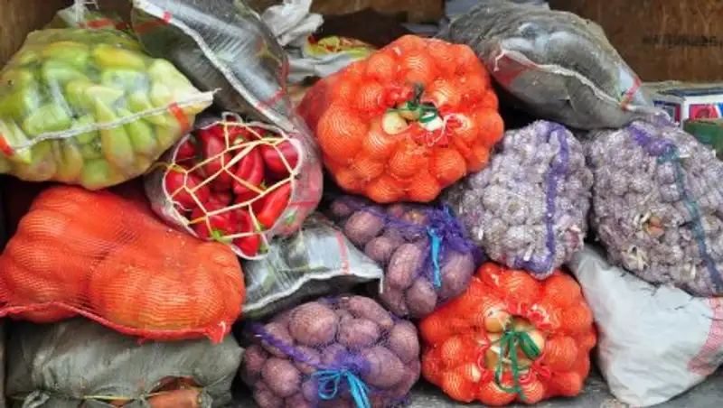 Аграрии Туркестанской области привезут в Астану 500 тонн сельхоз продукции