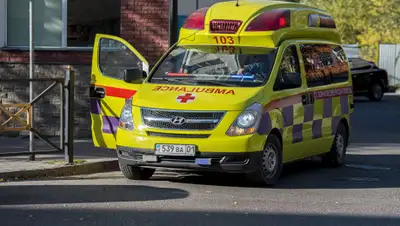 zakon.kz., фото - Новости Zakon.kz от 04.07.2020 11:19