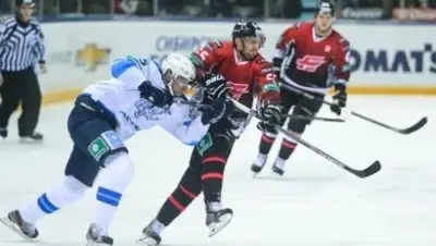 Zakon.kz, фото - Новости Zakon.kz от 29.12.2014 18:11