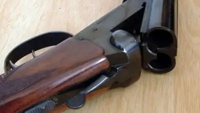 og.ru, фото - Новости Zakon.kz от 01.02.2018 18:57