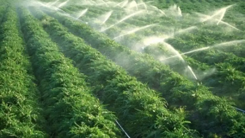 В Алматинской области увеличат площадь орошаемых земель 