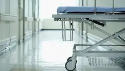 ohoje.com, фото - Новости Zakon.kz от 10.09.2020 09:26