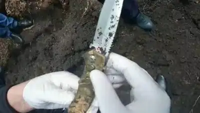 ДП ВКО, фото - Новости Zakon.kz от 03.09.2021 11:13