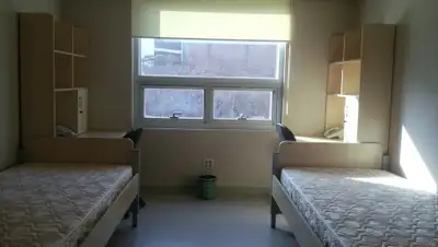 barthulina.livejournal.com, фото - Новости Zakon.kz от 14.03.2020 10:39