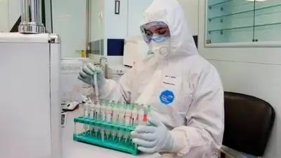 zakon.kz., фото - Новости Zakon.kz от 28.10.2020 08:02