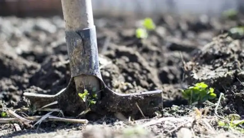 На кладбище в Актау тело усопшего выкопали из могилы