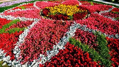 Zakon.kz, фото - Новости Zakon.kz от 24.05.2014 18:43