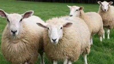 Zakon.kz, фото - Новости Zakon.kz от 23.01.2017 15:30