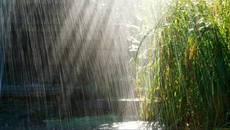 Дожди с грозами возможны 10 мая