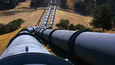 Zakon.kz, фото - Новости Zakon.kz от 07.02.2018 16:32