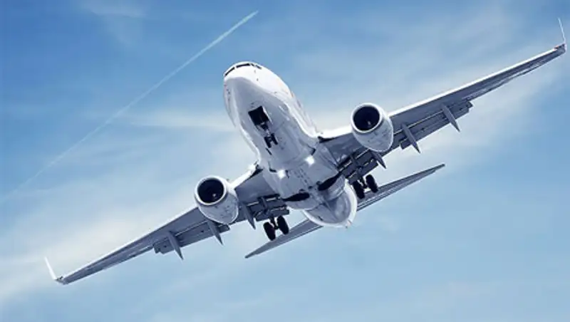 Новая Зеландия приступила к депортации израильских нелегалов