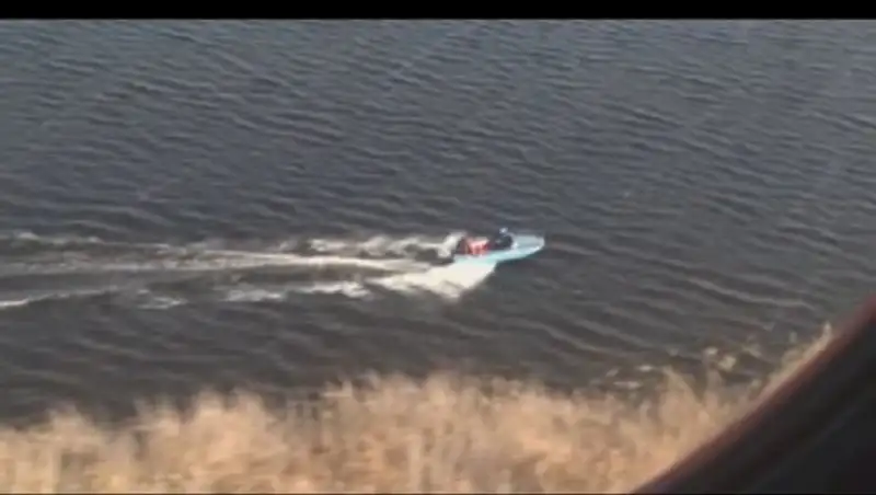 Алматы облысында сексеуіл кесумен айналысқан браконьерлер тобы ұсталды