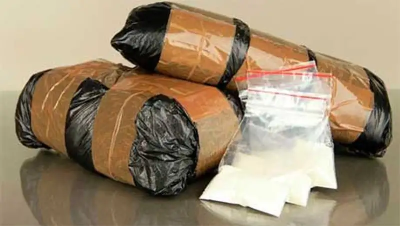 2 наркогруппировки ликвидировали в Алматинской области с 1 июня