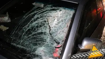 Zakon.kz, фото - Новости Zakon.kz от 05.11.2019 14:03