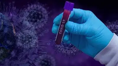 pixabay.com, фото - Новости Zakon.kz от 02.07.2021 16:21