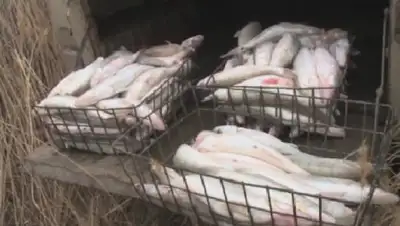 Zakon.kz, фото - Новости Zakon.kz от 22.10.2016 17:19