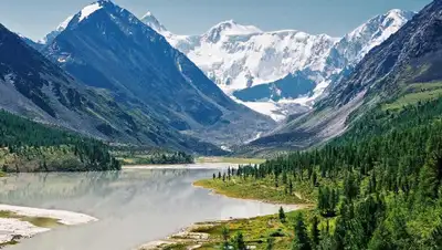 google.com, фото - Новости Zakon.kz от 02.08.2019 16:46