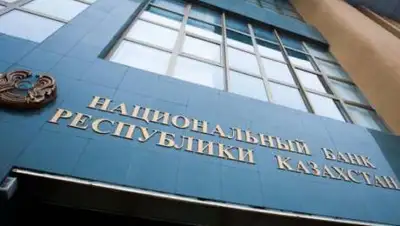 24.kz, фото - Новости Zakon.kz от 11.11.2020 17:26