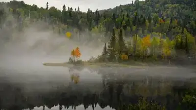 pxhere.com, фото - Новости Zakon.kz от 24.09.2021 16:21