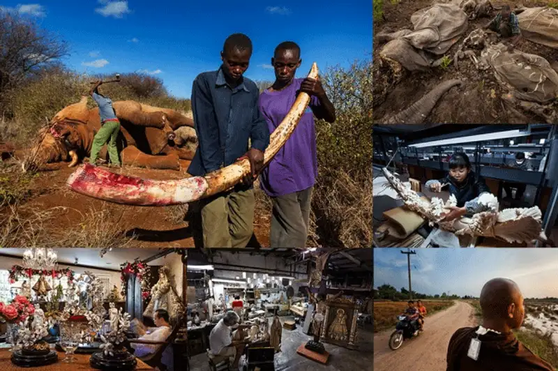 Победители фотоконкурса Wildlife Photographer 2013, фото - Новости Zakon.kz от 19.10.2013 18:59