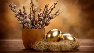 Zakon.kz, фото - Новости Zakon.kz от 28.07.2017 15:00