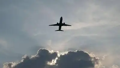 kashamalasha, фото - Новости Zakon.kz от 23.11.2020 07:15