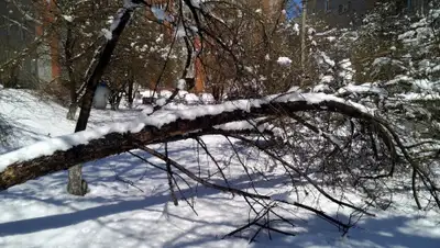 Pikabu, фото - Новости Zakon.kz от 16.02.2020 23:41