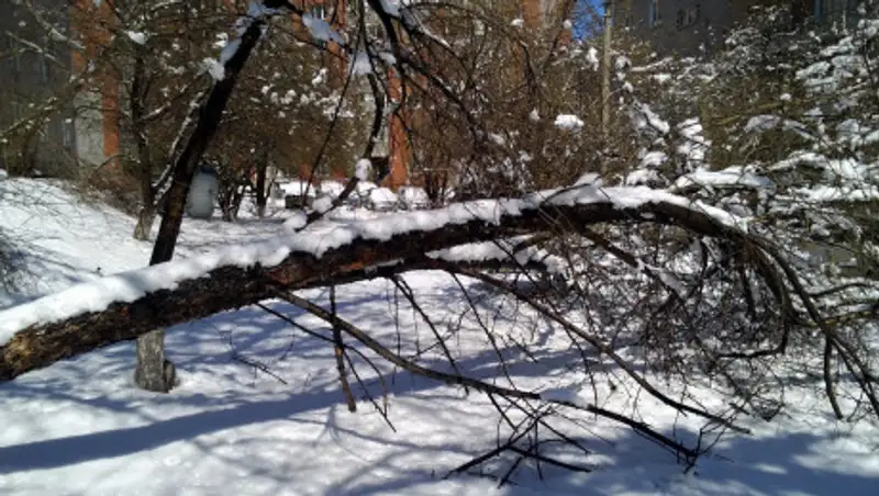 ДЧС Алматы выступил с предупреждением